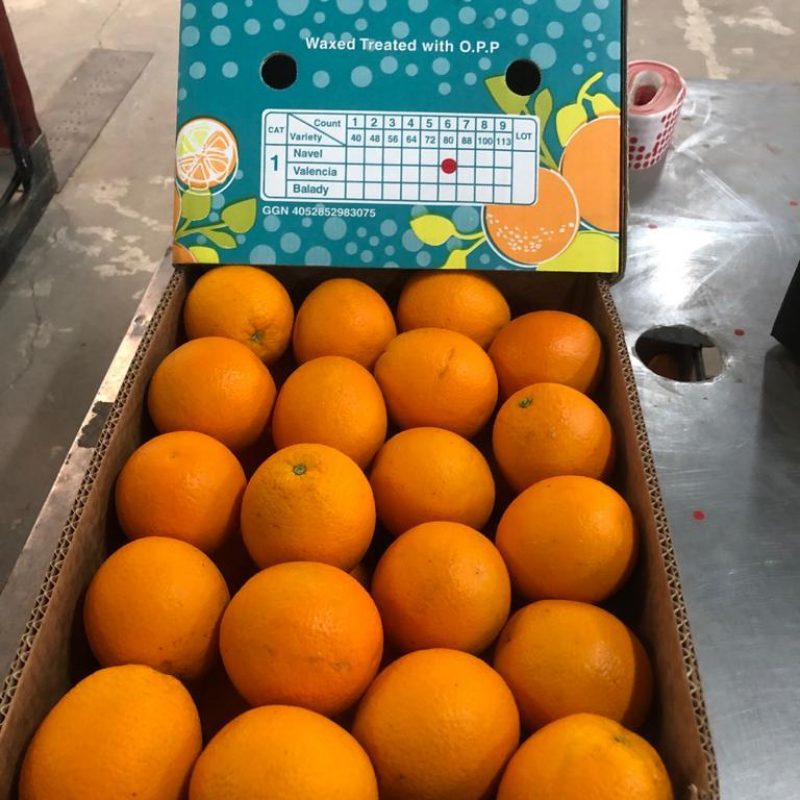 WhatsApp Image 2021-11-15 at 10.48.28 AM (1)