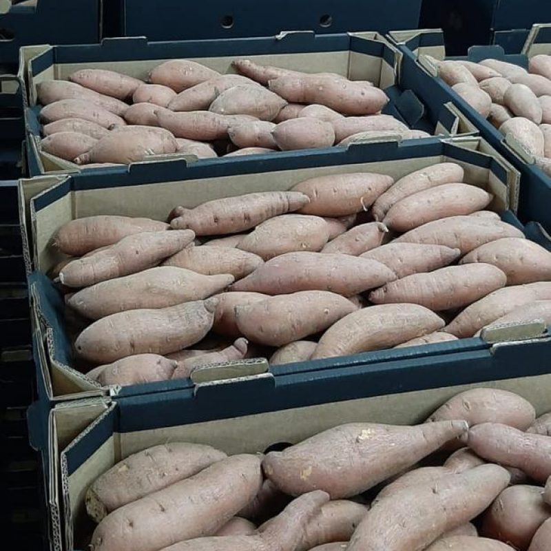 WhatsApp Image 2021-11-15 at 10.56.14 AM (1)