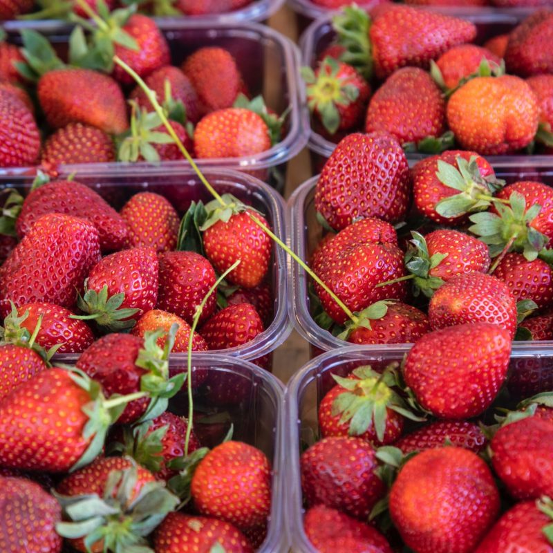 engin-akyurt-cVJh5kNel8k-unsplash